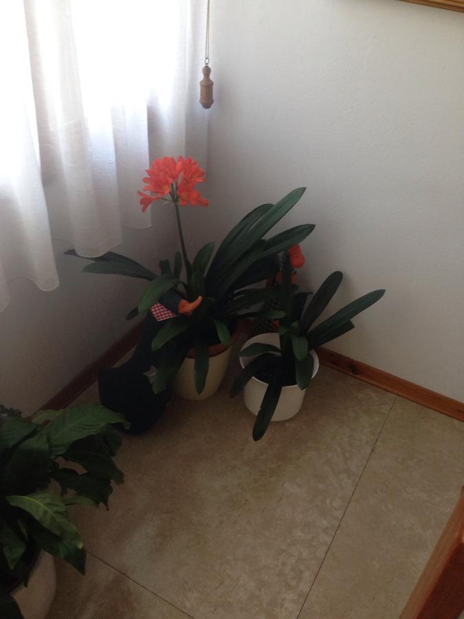 B&B Casa Lisa Miane Екстер'єр фото